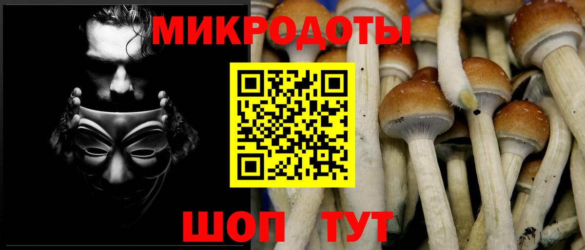 Галлюциногенные грибы мицелий Сызрань